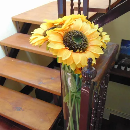 Villa Riaza ريازا