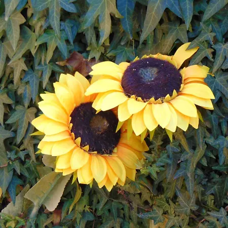 Villa Villa Riaza Riaza