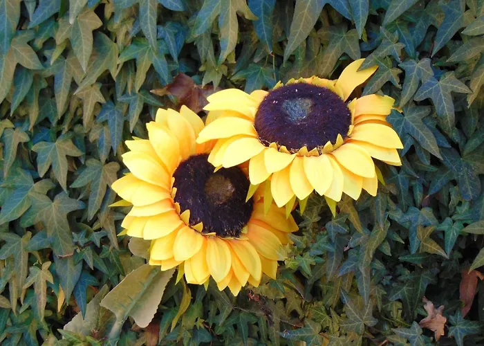 Villa Villa Riaza Riaza